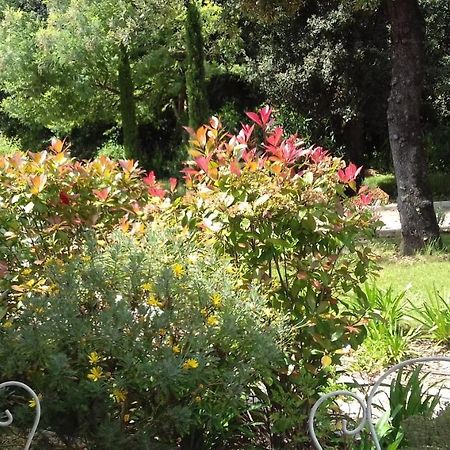 La Louvetiere Hotel Roquefort Les Pins Eksteriør billede